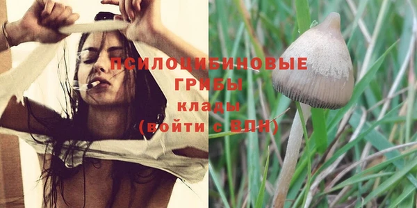 бошки Балахна